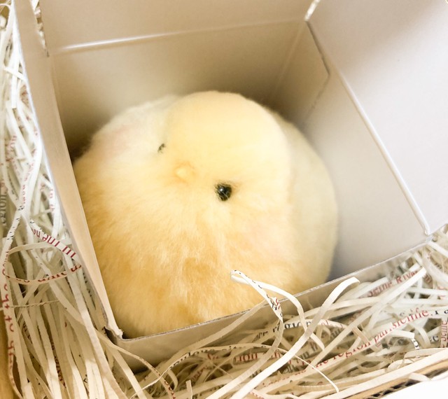 「目が合った…！」おもわずキュン（写真提供：maru gocchi cafeさん）