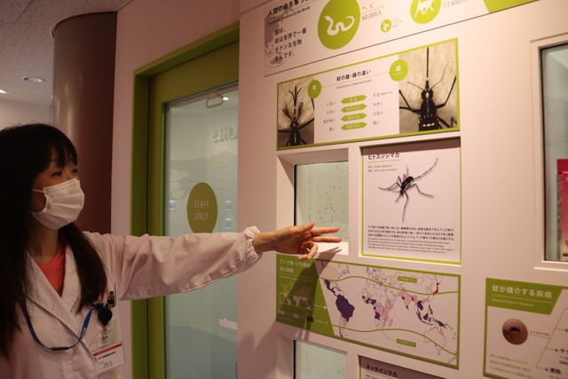 ネットで話題 蚊の誘引音 で蚊よけができる は ウソ その理由と衝撃の実験結果とは まいどなニュース