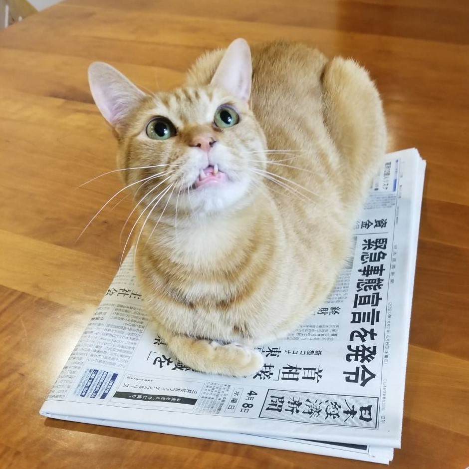 交通事故で顎が砕ける大ケガも「生きたい！」と目で訴え大手術 復活 