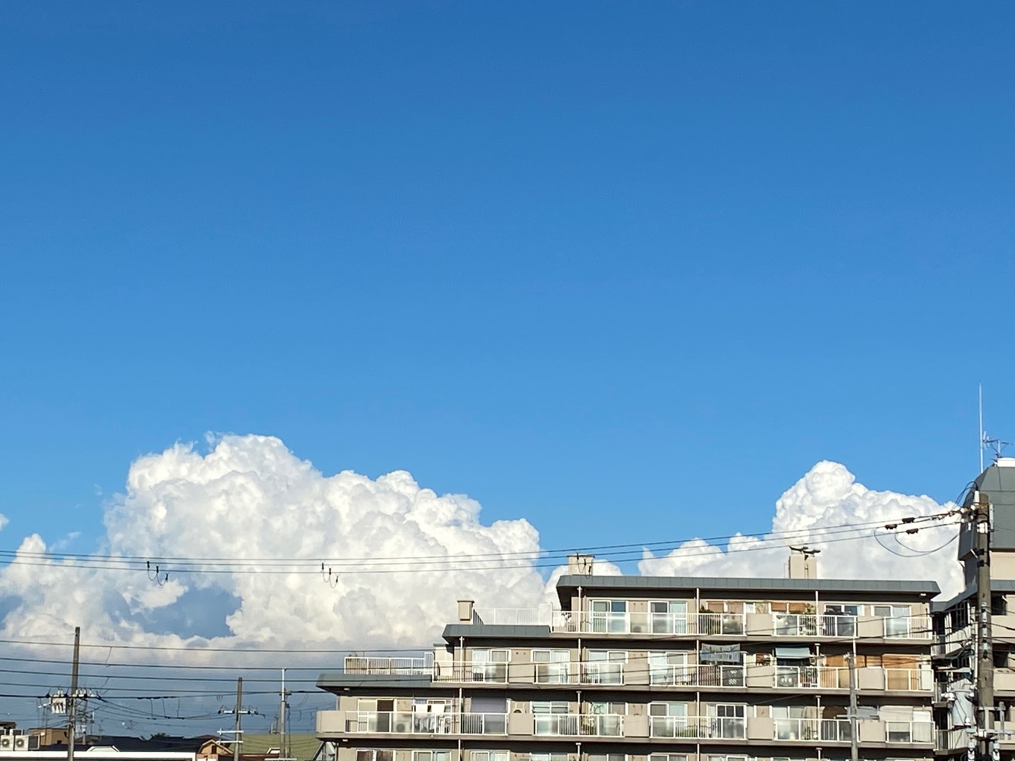 あれが かなとこ雲 か この夏snsで話題になったチョー個性的な雲の正体とは 専門家に聞いた まいどなニュース あれが かなとこ雲 か この夏snsで話題になったチョー個性的な雲の正体とは 専門家に聞いた まいどなニュース
