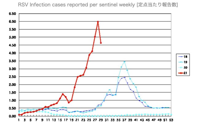 小さな子どもに多い Rsウイルス感染症 今年は大流行 感染爆発にコロナのかげ まいどなニュース