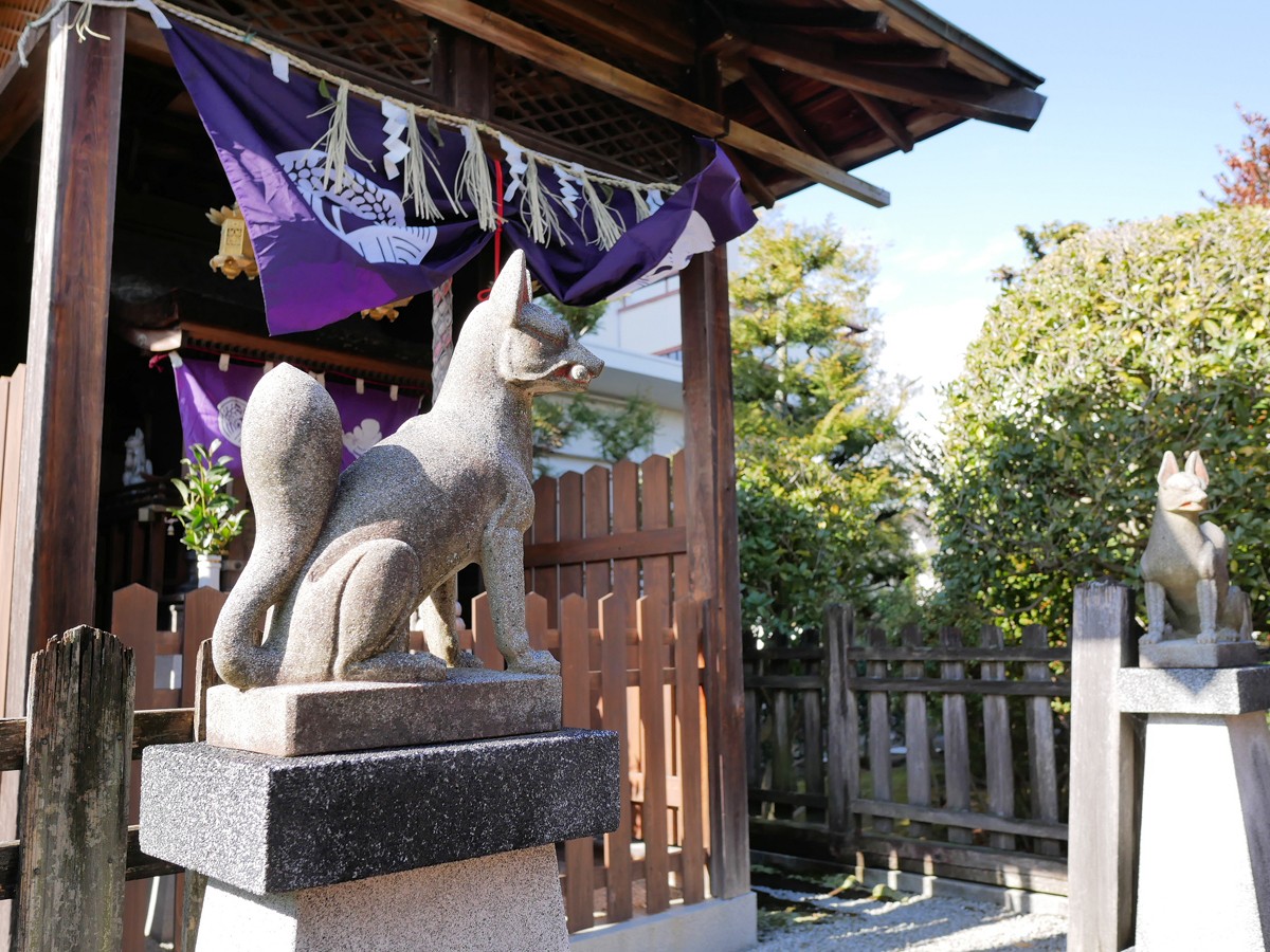 神様の使いを防犯カメラがキャッチ 製紙工場のお稲荷さんに現れた2匹のキツネ 何か良いこと起こるかも まいどなニュース