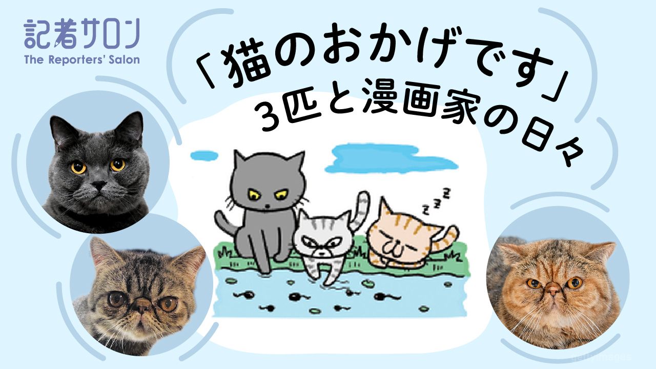 記者サロン 「猫のおかげです｣1280