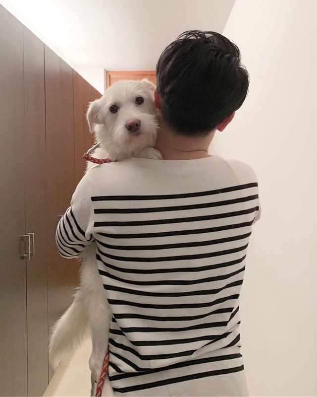 福岡で多頭飼育崩壊 殺処分逃れたニーナちゃん 東京の里親の元で日々成長 まいどなニュース