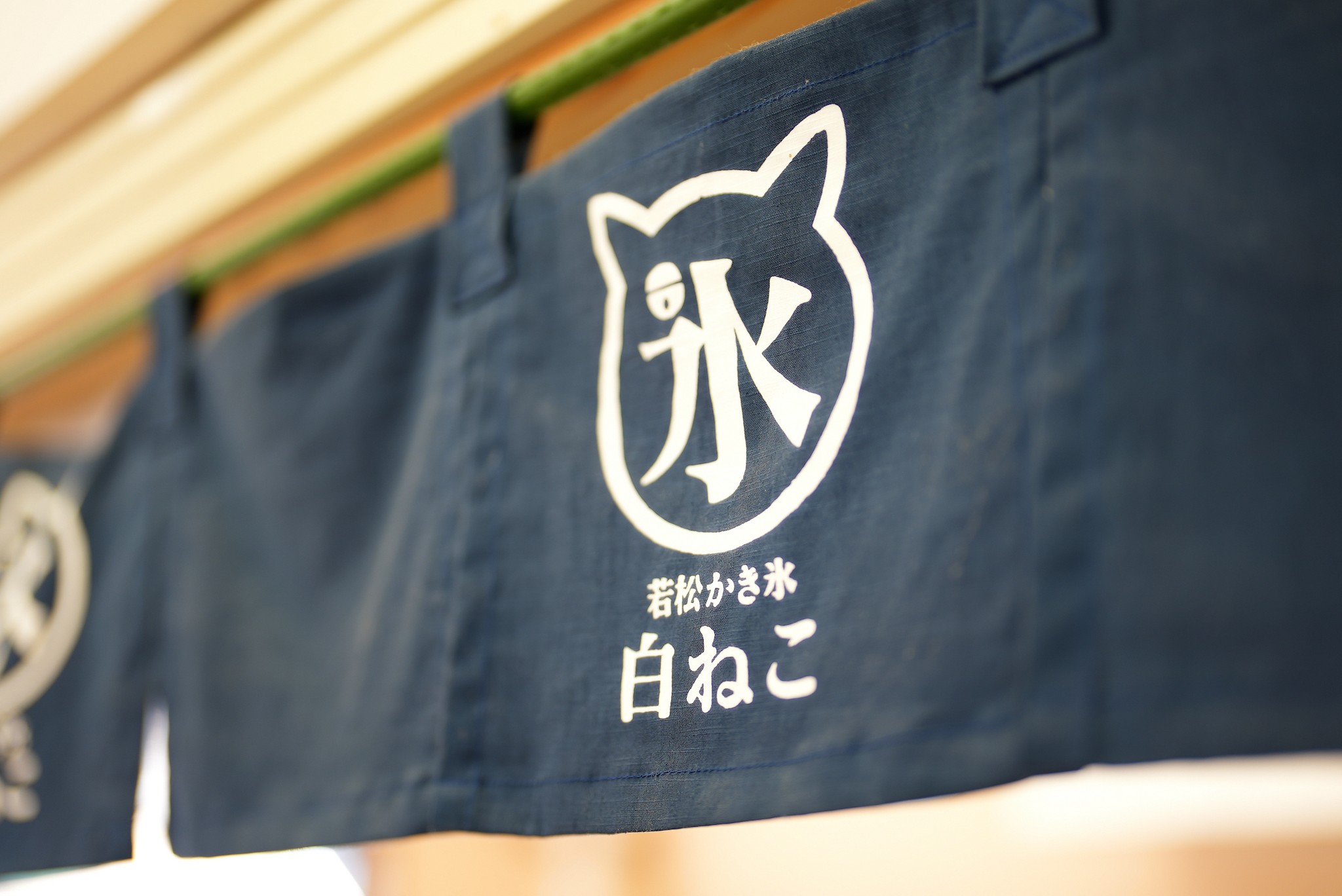 まるでフワフワの白い猫みたい 人気のかき氷 その名も 白ねこ 猫好きの間で話題に まいどなニュース