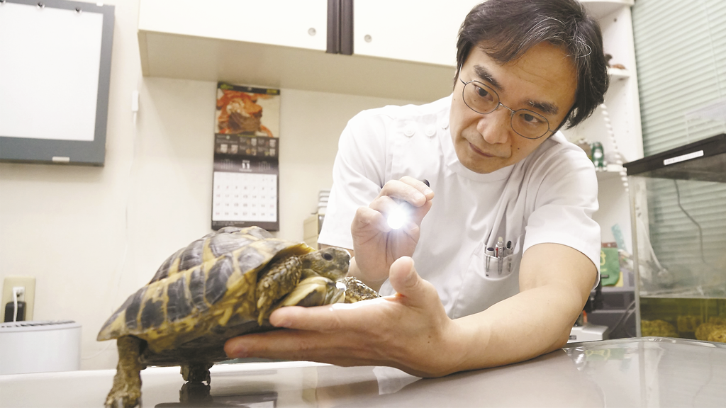 は虫類のお医者さん