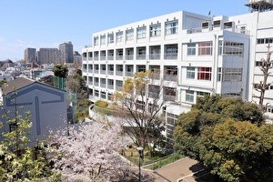 写真・図版