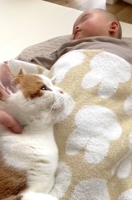 一緒すぎて笑ってしまう 寝相がそっくりの猫と赤ちゃんの昼寝 素晴らしいシンクロ 可愛すぎる天使たち まいどなニュース