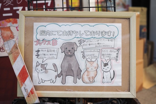 黒ラブと猫３匹の仲良し犬猫が出迎えてくれるまちの本屋さん まいどなニュース