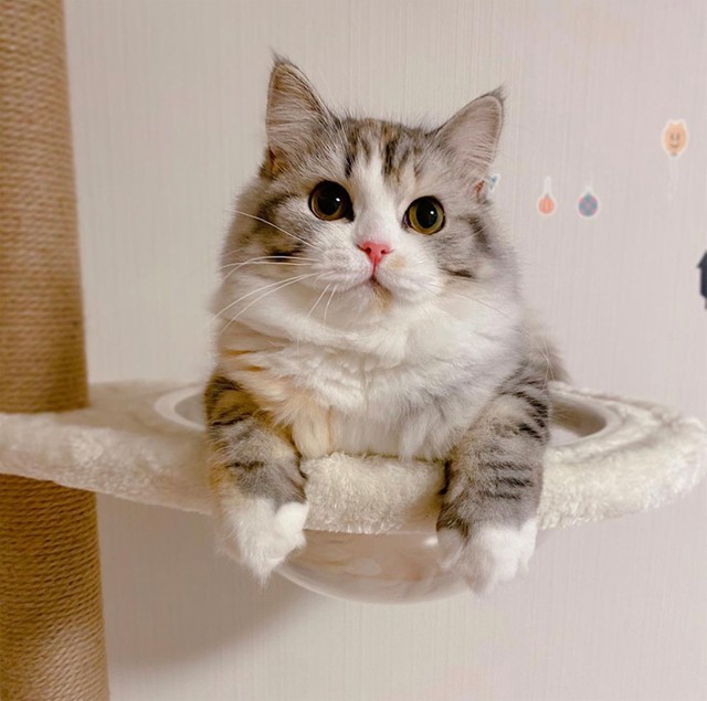 おててパンもかわいい！（提供：ねむろぐさん）