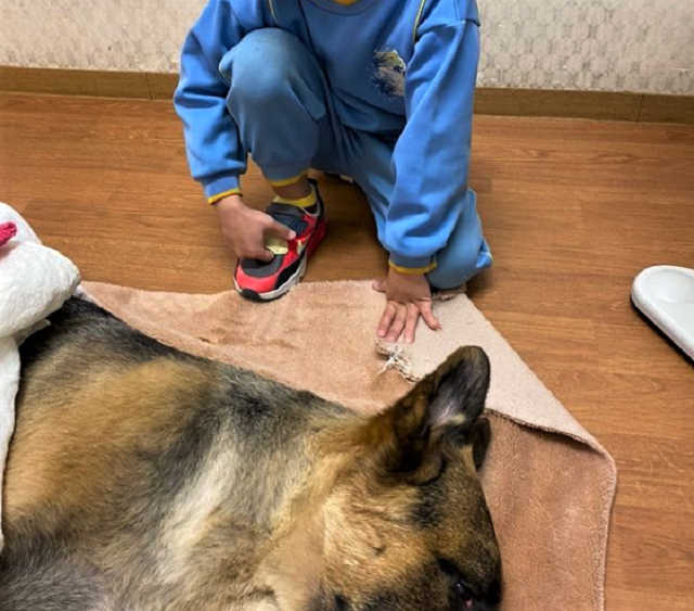 しつけ それとも 虐待死 ペットサロンで犬が急死 調査していた教育団体 経営者の資格取り消し まいどなニュース