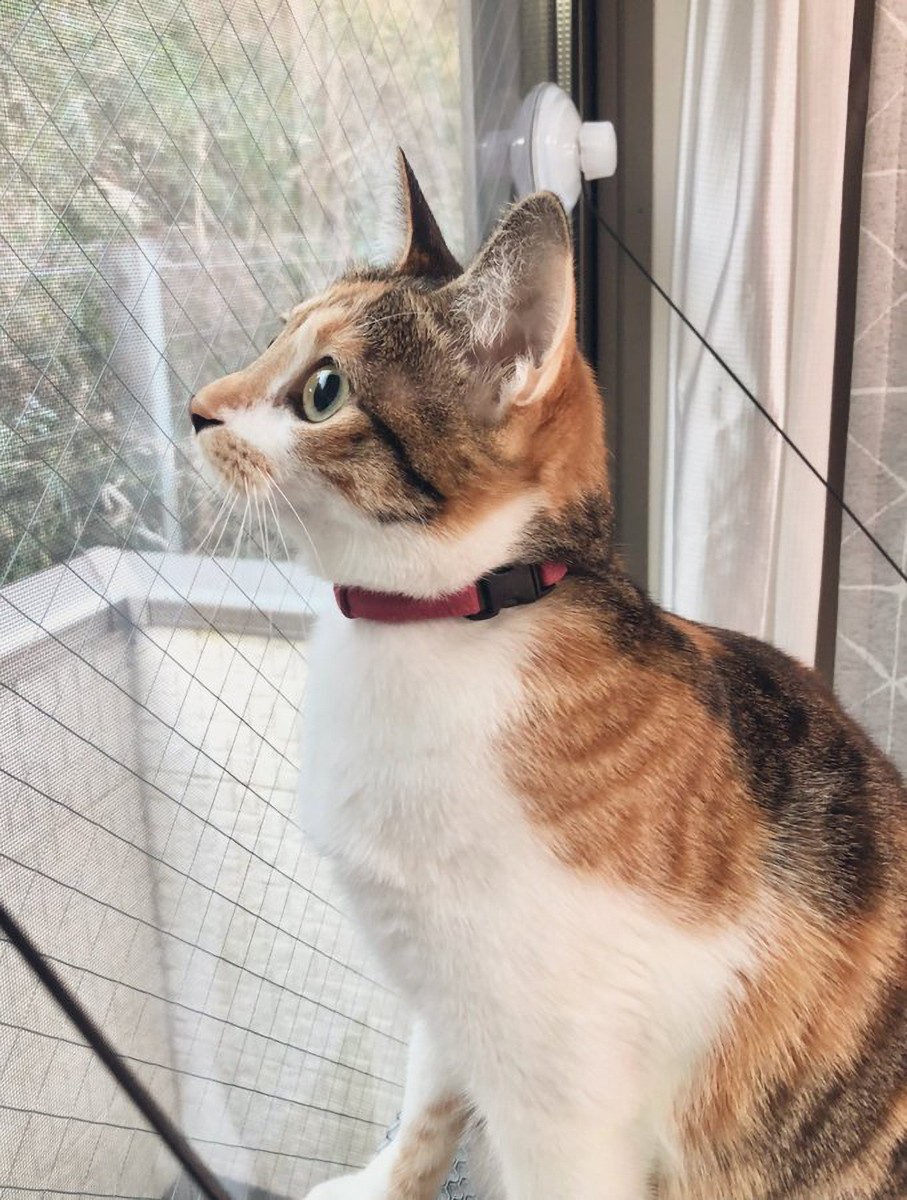 D1f Kgtocesewm D1f Kgtocesewm