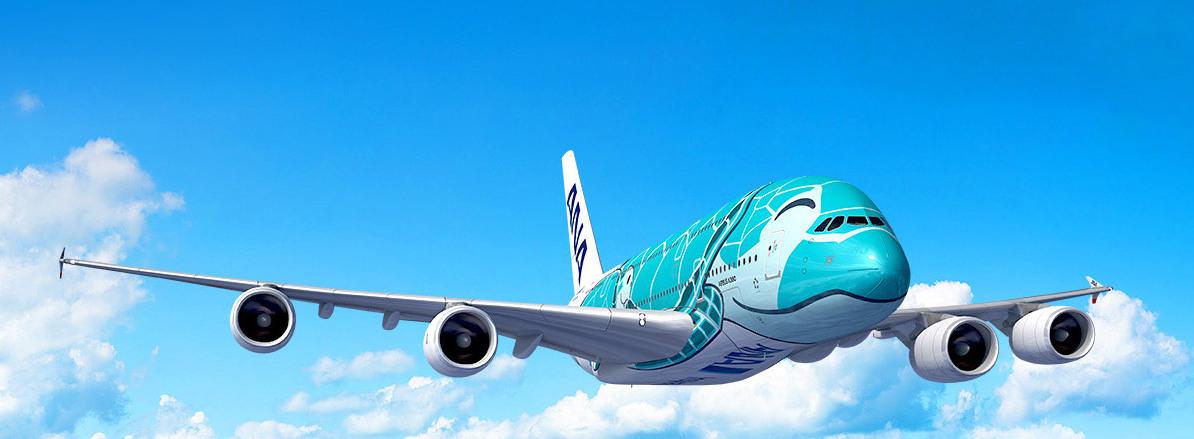 2階建の旅客機 A380 で飛ぶana成田発遊覧フライトが人気のワケ 九州か北海道か 航路は機長にお任せ まいどなニュース