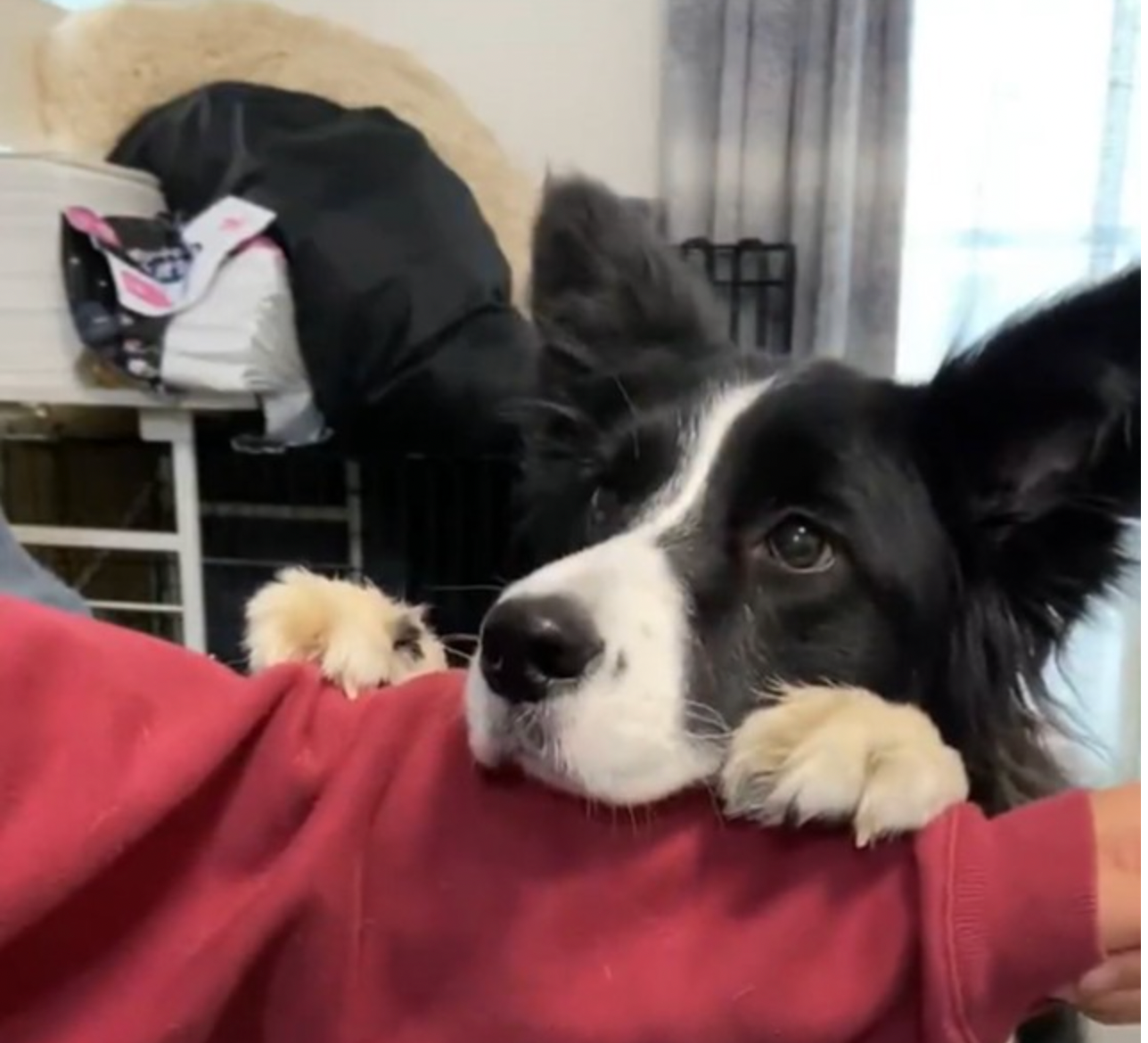 Hmi08mdleos0mm Hmi08mdleos0mm