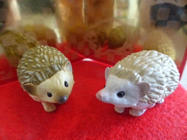 年はハリネズミ年 タカラトミーの干支グッズに 表情豊かでペットとして人気上昇中 まいどなニュース