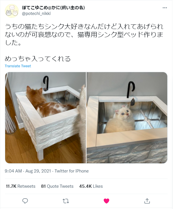 好きなだけ入っていいよ」自作の猫専用シンクのクオリティに称賛の声 