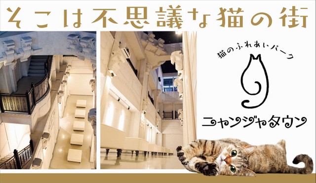 ニャンジャタウン そこは不思議な猫の街 約30匹の猫さんたちが 街の住人 になるまで まいどなニュース ニャンジャタウン そこは不思議な猫の街 約30匹の猫さんたちが 街の住人 になるまで まいどなニュース