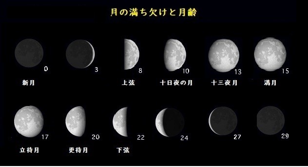 十五夜ではない秋の名月 目と耳と舌で味わう十三夜 まいどなニュース