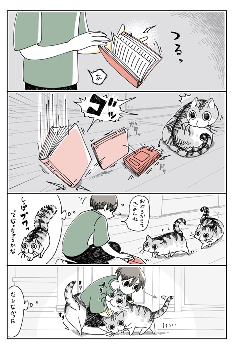 漫画 予測できない 猫のしっぽが膨らむ瞬間 ビックリポイント難しいですね 猫飼いさんに共感 まいどなニュース