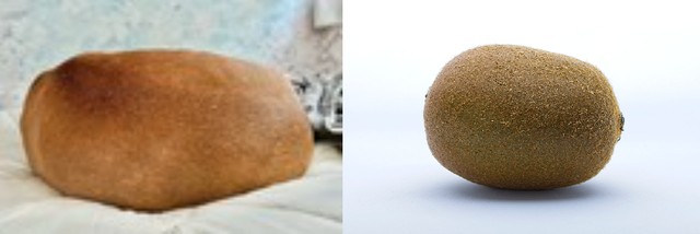 キウイ じゃないよね 見た目そっくり実は土佐犬の背中 触るとスベスベ モチモチ 甘えん坊な優しい子です まいどなニュース キウイ じゃないよね 見た目そっくり実は土佐犬の背中 触るとスベスベ モチモチ 甘えん坊な優しい子です まいどなニュース