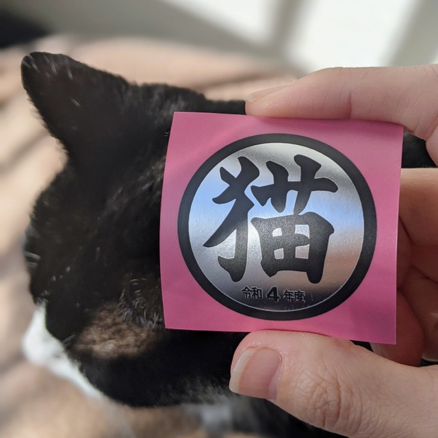 犬飼いが玄関に貼ってる あのシール の猫版 売り上げが保護団体に寄付できる仕組みです まいどなニュース 犬飼いが玄関に貼ってる あのシール の猫版 売り上げが保護団体に寄付できる仕組みです まいどなニュース