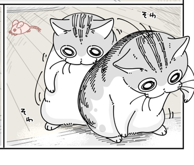 漫画 猫がおもちゃを 見失ってる時のかわいさよ わかりすぎる漫画に猫飼いさん共感 毎日これ 笑 まいどなニュース