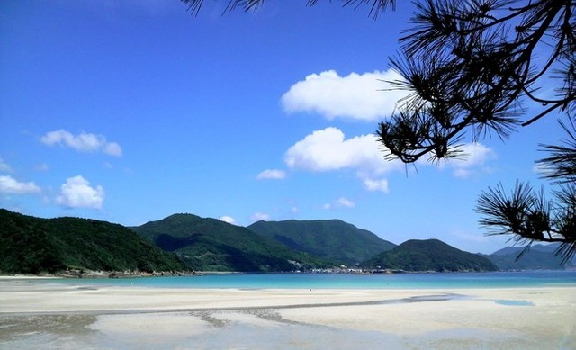 年間通しておいしい魚をいただける新上五島町