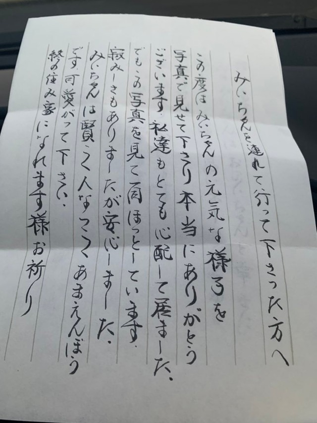 おじいちゃんと暮らした頃のように幸せに 冬迫る山で保護した猫に届いた 優しい手紙 まいどなニュース