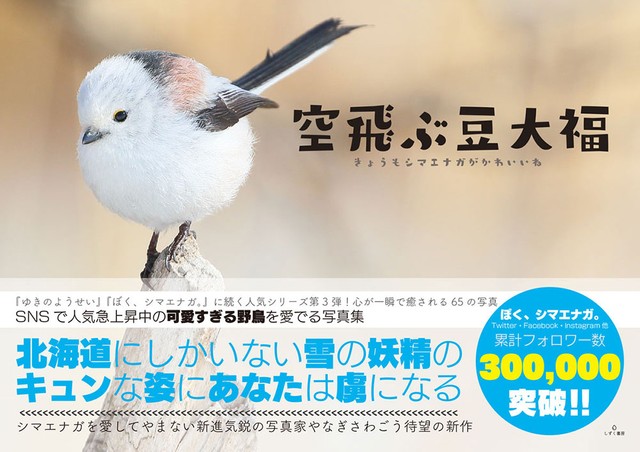 豆大福 それとも小鳥 シマエナガ写真家が投稿した どっちかわからない 写真がsnsで話題に まいどなニュース