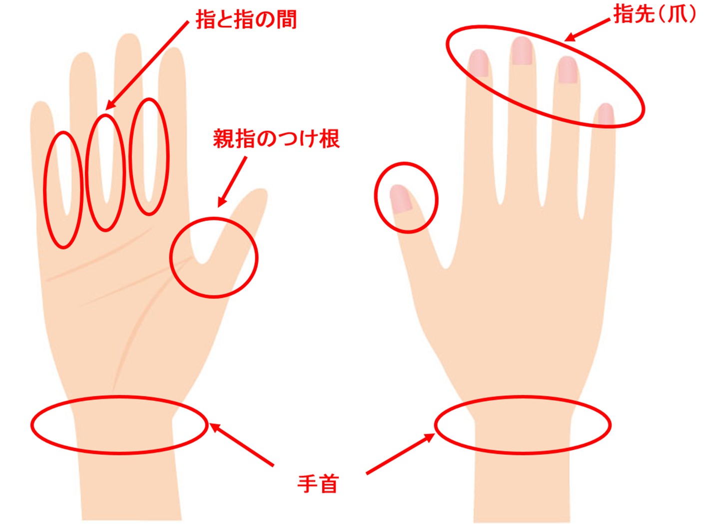 洗い残しが多いのは 手の平 手の甲 石けんメーカーに手洗いの基本を聞いた まいどなニュース