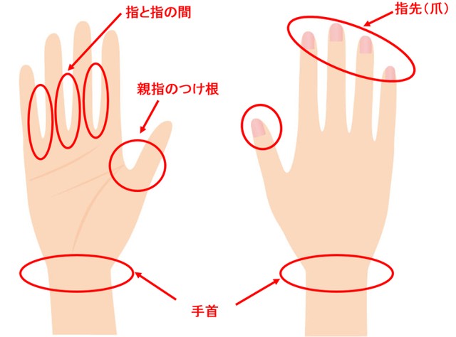 洗い残しが多いのは 手の平 手の甲 石けんメーカーに手洗いの基本を聞いた まいどなニュース
