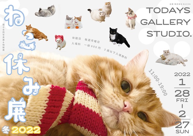 スター猫が大集結 ねこ休み展 うに よもぎ ぷうちゃん るうちゃん初登場 ふうちゃん追悼も よろず ニュース