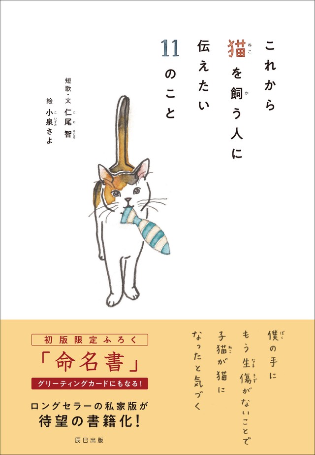 しなくていいことばかりする猫」 これから猫を飼う人に先輩から伝え 
