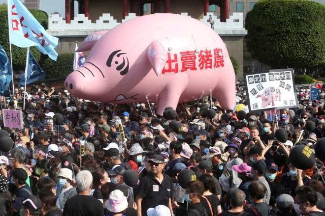 Fists and pig guts fly in Taiwan parliament debate on U.S. pork : The Asahi  Shimbun