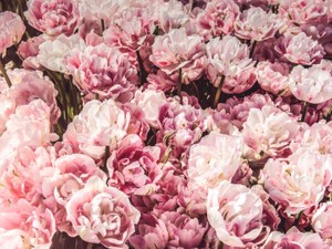 「勝ち組の一重まぶた」ってなんだ？　私の良さは私が決める