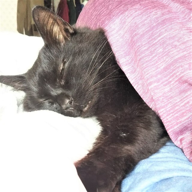 Nm3 Mfis3r7ntm Nm3 Mfis3r7ntm