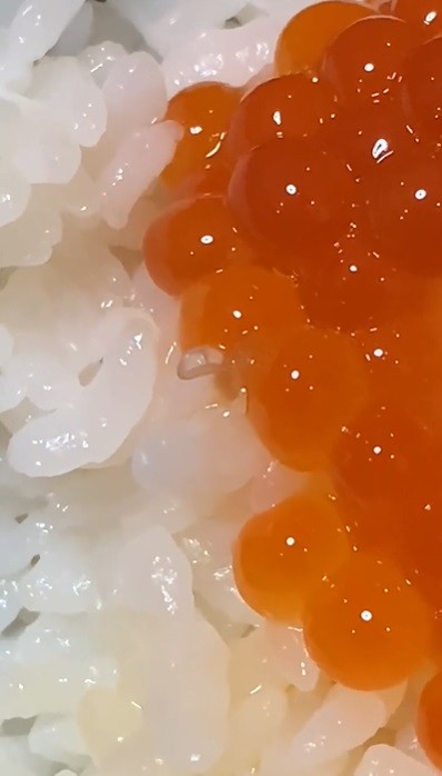 わーい イクラご飯だ あれっ 醤油漬けの粒の間に動く糸くず 衝撃動画600万超再生 まいどなニュース わーい イクラご飯だ あれっ 醤油漬けの粒の間に動く糸くず 衝撃動画600万超再生 まいどなニュース