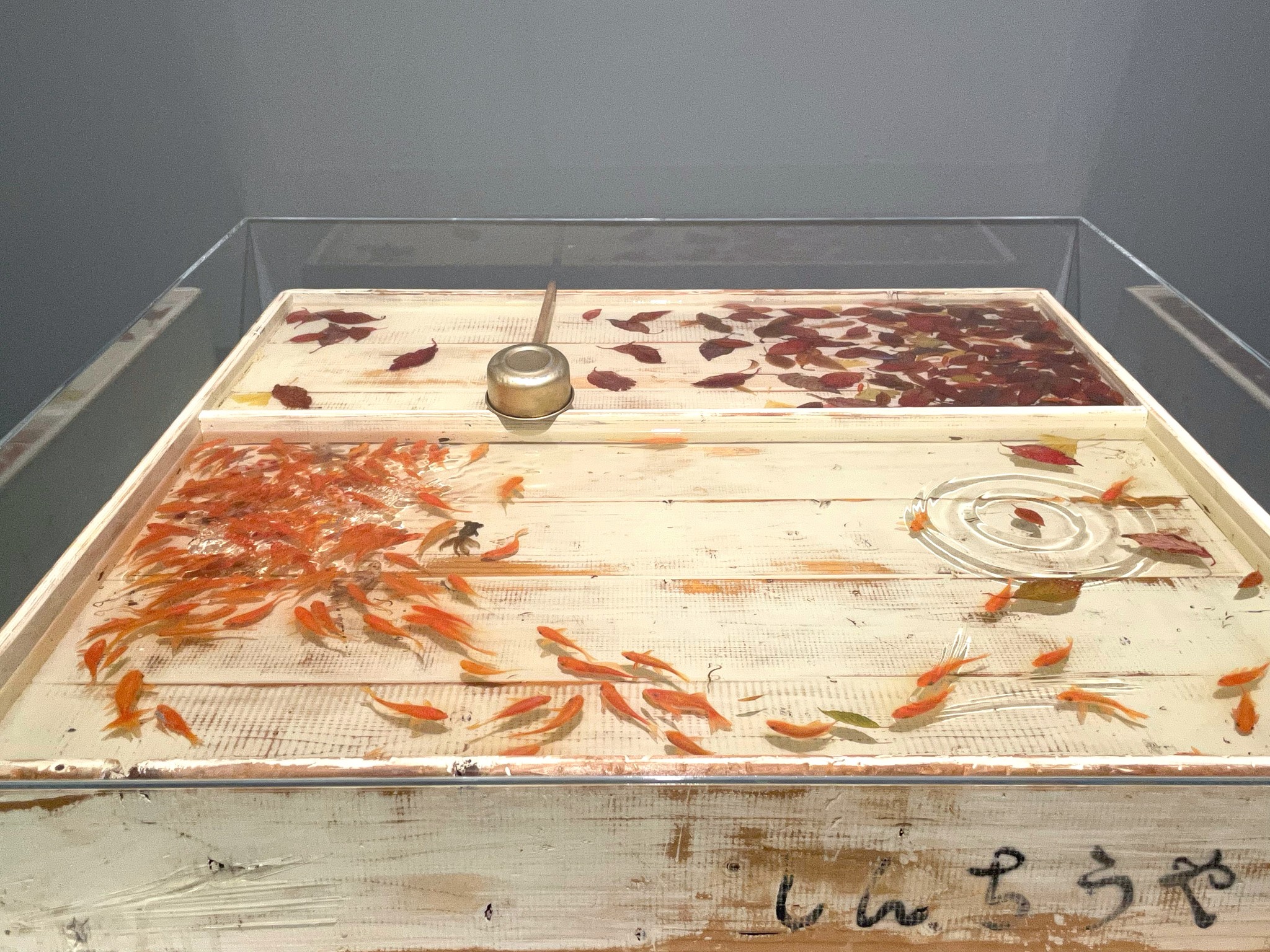 えっ 本物じゃないの ゆらゆら泳ぐ金魚アートに驚き 行き詰まった制作者が編み出した 金魚救い とは まいどなニュース