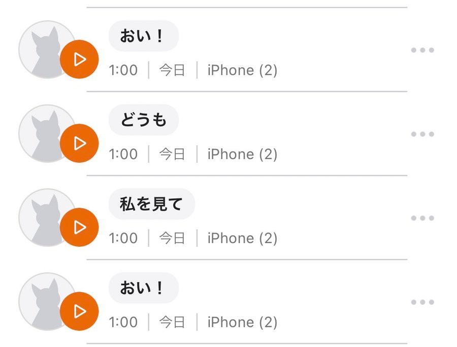 話題の猫語翻訳アプリの結果が 思ってたより態度でかめだった 愛猫の本音にざわつく猫飼いさん 衝撃の結果とは まいどなニュース