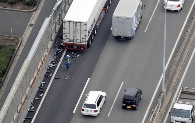 大阪 大型卡车保冷库门开启鲣鱼散落高速公路上 视频 朝日新聞中文网 大阪 大型卡车保冷库门开启鲣鱼散落高速公路上 视频 朝日新聞中文网