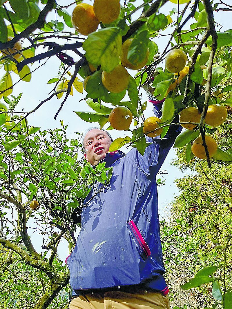 農協職員の菅原さん