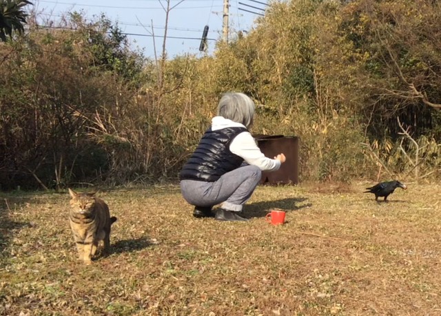 奥さんができた時も 子どもができた時も 亡くなる間際にもあいさつに来て 律儀だったカラスのカンちゃん まいどなニュース