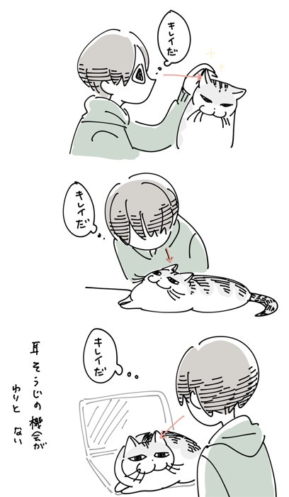 漫画 猫の耳掃除 いやニャン からの ぐいぐい わかるぅ 表情もポーズもいちいち全部可愛いや まいどなニュース
