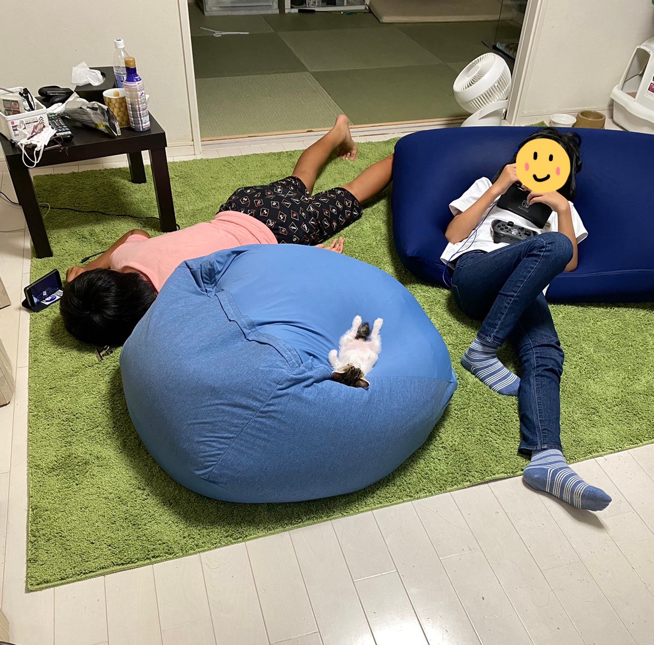 ニトリのクッション最高だが いつも先約がいる 保護した子猫がへそ天でスヤスヤ 猫はいい場所みつける天才 人は諦めざるを得ない まいどなニュース