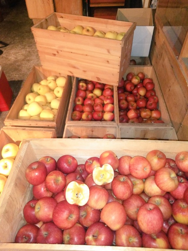 もしこの世からリンゴがなくなったら リンゴ売りとおじいさんの 問答 が 現代のおとぎ話みたい まいどなニュース