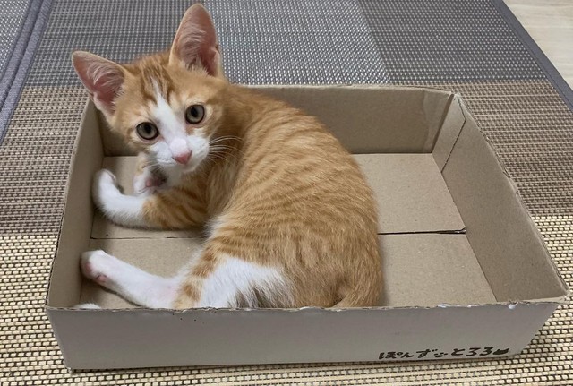 Uqtscqw5snc8qm Uqtscqw5snc8qm