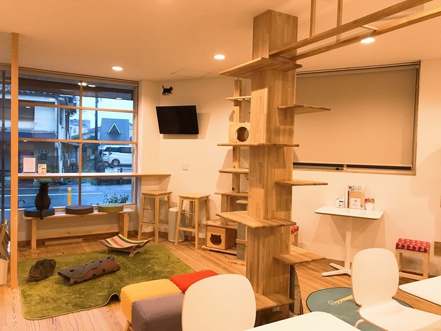 猫カフェから学ぶ 共生住宅 作りのコツ 脱走防止策や爪とぎ対策に Aの工夫 まいどなニュース