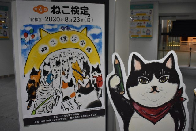 猫はどうして女性が好きなの 猫の気持ちがもっとわかるようになる ねこ検定 とは まいどなニュース