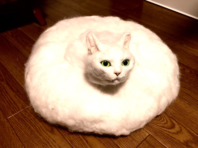 世界一癒されない猫カフェ 自走 長すぎ 頭が2つ 不思議なフェルト猫の世界が話題 よろず ニュース 世界一癒されない猫カフェ 自走 長すぎ 頭が2つ 不思議なフェルト猫の世界が話題 よろず ニュース