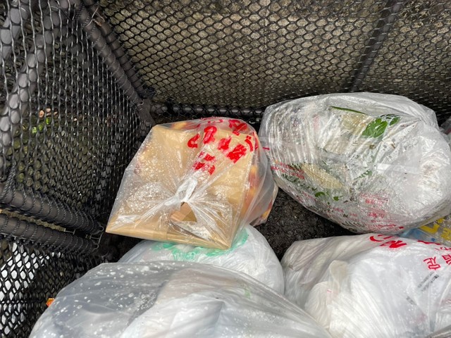 虐待に遺棄u2026「動物犯罪」を警察に通報する前の心構えとは 長崎での子猫